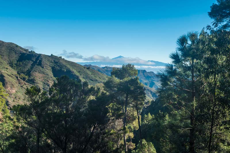 Parque Nacional de Garajonay